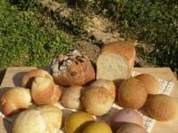 【0432】天然パン工房楽楽