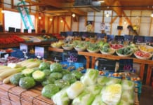 【0329】川﨑青果