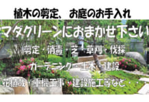 【4057】ヤマダグリーン / キングスジム