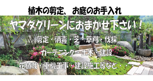 ヤマダグリーン キングスジム 福岡県糸島市 糸島市商工会 会員紹介サイト イトスキ