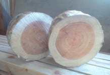 【0643】永田製材所