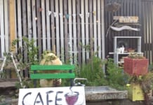 【4669】KOKO Café Itoshima