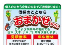 【4733】伐採屋コーリン