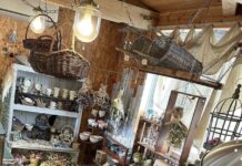 【5119】ろわぶー舎