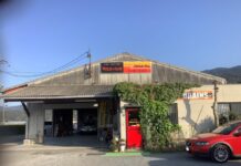 【2890】カーペインタ-ワイルド・サム