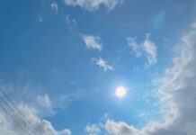 【5313】株式会社農・みのり(糸島ねぎぼうず)