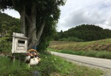 【6111】FLAT LIFE Design