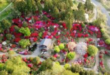 【281】桜井造園