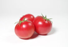 【1521】かわぞえ農園